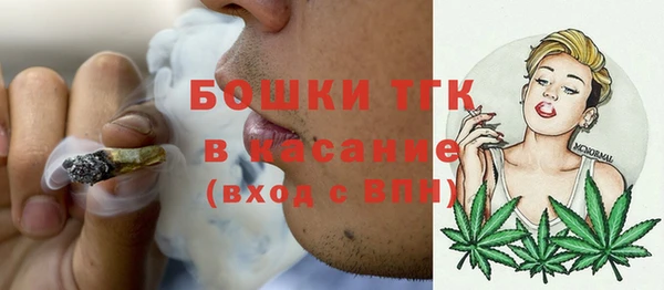 мдпв Инта