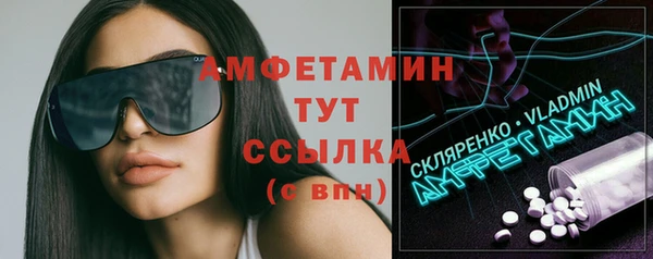 мдпв Инта