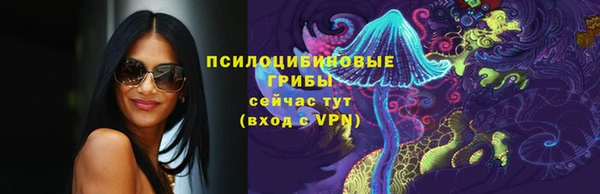 мдпв Инта