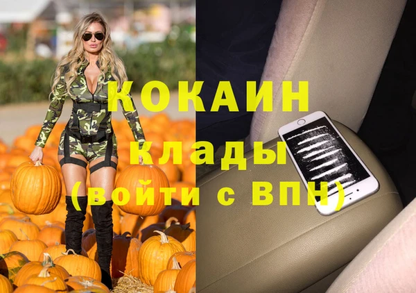 ПСИЛОЦИБИНОВЫЕ ГРИБЫ Инсар