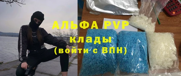 мдпв Инта